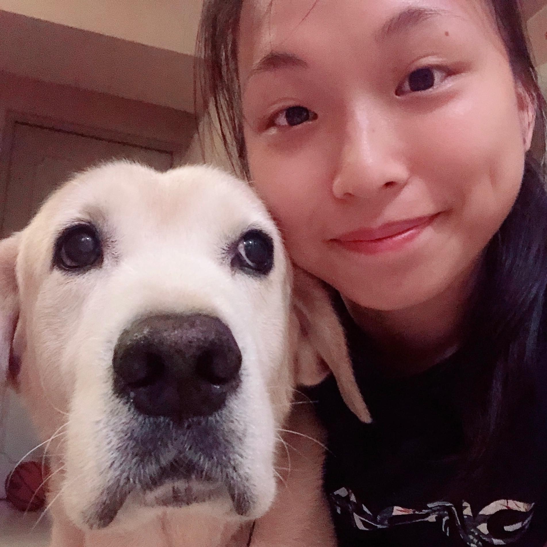 Looking For a Nanny Opportunity in Toronto
