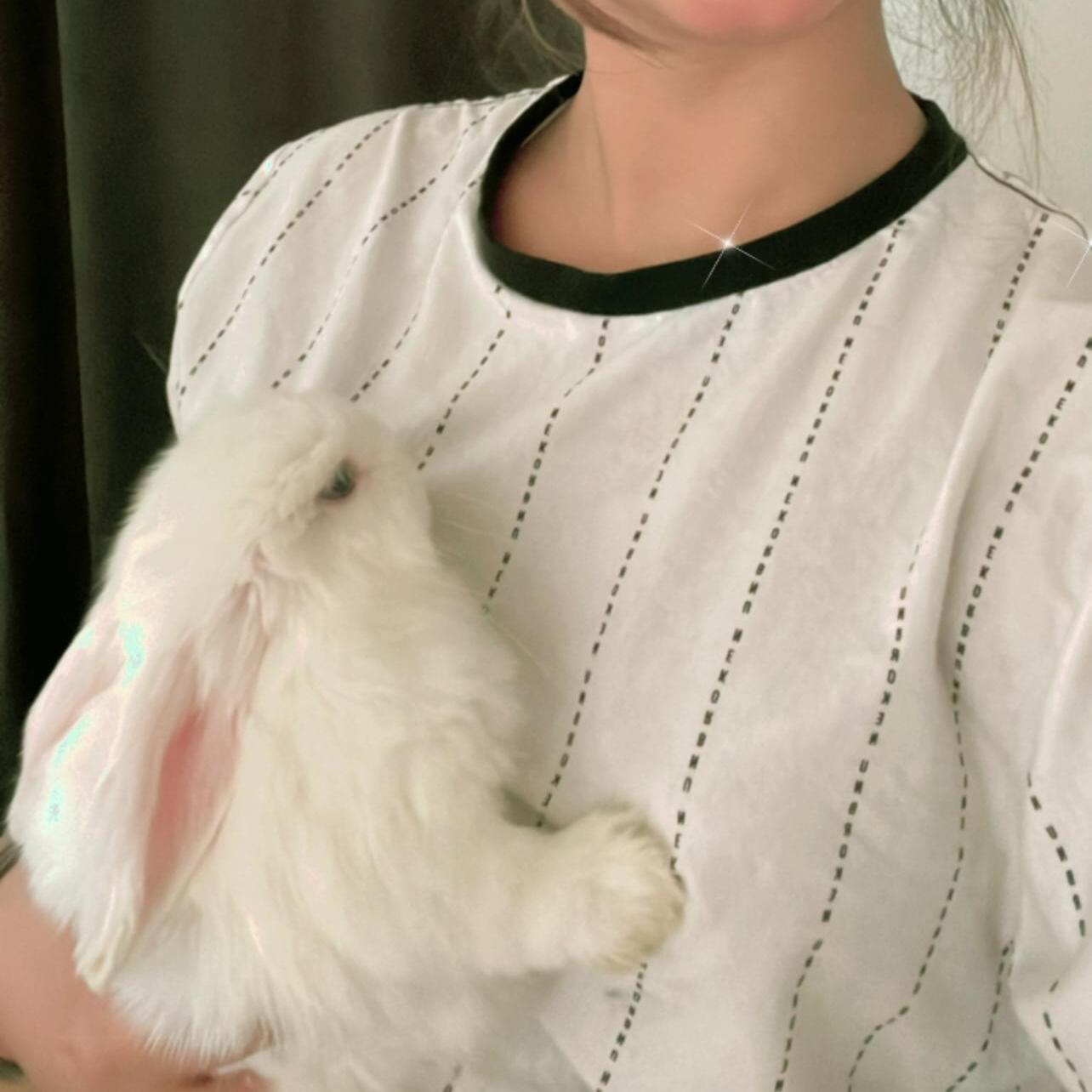 Looking For a Full time Pet Sitter Job in Brampton, Ontario