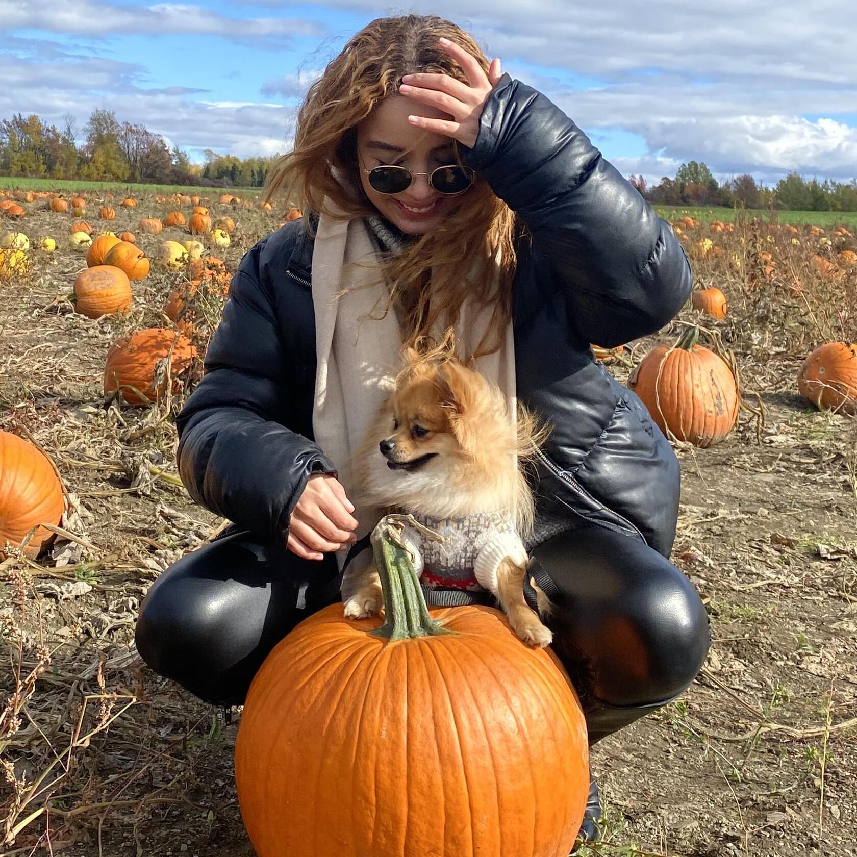 Reliable Dog Walker in Montreal