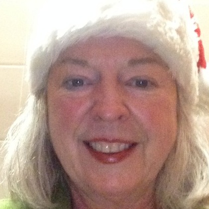 Consistent House and Pet Sitter Available Immediately