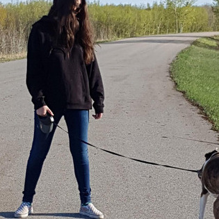 Trustworthy Pet/Plant & House sitter