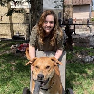Educated and loving pet caregiver
