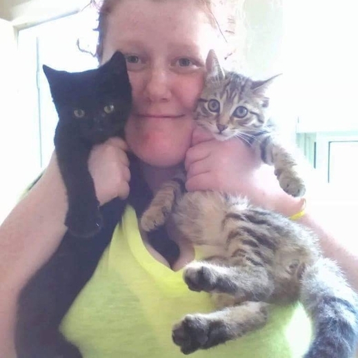 Excellent house sitter Available immediately