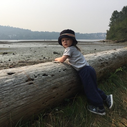 Part time nanny needed for amazing 2 year old boy