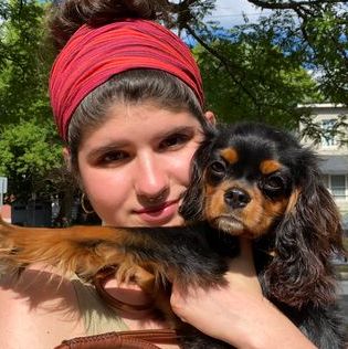 Looking For Ottawa Animal Lover, Ontario Jobs